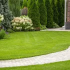 Business 22 image JDJ LANDSCAPING Turf & Lawn Suppliers in San Antonio TX