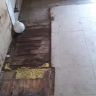 Business 22 image JDMS ENTERPRISES LLC Waste Disposal in Cicero IL