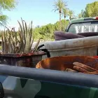 Business 2 image JDOG JUNK REMOVAL & HAULING NW LAS VEGAS yard cleanup in Las Vegas NV