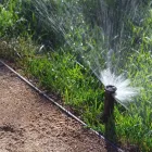 Business 5 image JE LANDSCAPING COMPANY Tree Service in San Diego CA