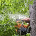 Business 6 image JE LANDSCAPING COMPANY Tree Service in San Diego CA