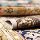 Business 1 image JERSEY CITY CARPET CLEANING Carpet & Rug Cleaners in Jersey City NJ