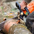 Business 1 image JL TREE SERVICES Tree Cutting in Irving TX
