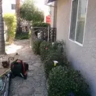 Business 1 image JOEY'S LANDSCAPE AND MAINTENANCE Lawn Care Service in Sacramento CA