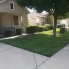 Business 7 image JOEY'S LANDSCAPE AND MAINTENANCE Lawn Care Service in Sacramento CA