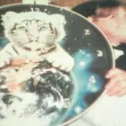 Business 4 image JOHN'S TAXICAB Transportation Services in Tucson AZ