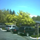 Business 1 image JOHNSON RODNEY MD Physicians & Surgeons in Bellevue WA