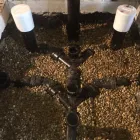 Business 21 image JOSH-ROOTER PLUMBING AND SEWER Waterworks Contractors in Skokie IL