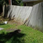 Business 56 image JP’S REAL ESTATE INSPECTION Real Estate Services in Houston TX
