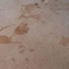 Business 7 image JPRO CLEANING SERVICES, LLC. Floor & Tile Cleaning in Milwaukee WI