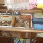 Business 13 image JUNKIN JACK FLASH INC. Radon Testing & Removal in Tulsa OK
