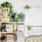 Business 1 image JUSTIN HANOVER Biotech in San Francisco CA