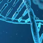 Business 2 image JUSTIN HANOVER Biotech in San Francisco CA