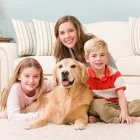 Business 2 image K & L CHEM-DRY Cleaning Services in Tucson AZ