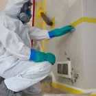 Business 3 image KANSAS CITY MOLD INSPECTIONS | GREENE PLANET CO in Kansas City MO