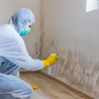 Business 1 image KANSAS CITY MOLD SOLUTIONS Water Restoration Damage in Kansas City KS