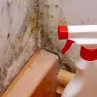 Business 2 image KANSAS CITY MOLD SOLUTIONS Water Restoration Damage in Kansas City KS