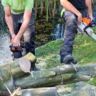 Business 5 image KANSAS CITY TREE SERVICE PROS Tree Service in Kansas City North MO