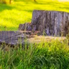 Business 6 image KANSAS CITY TREE SERVICE PROS Tree Service in Kansas City North MO