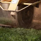 Business 7 image KANSAS CITY TREE SERVICE PROS Tree Service in Kansas City North MO