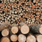 Business 2 image KANSAS CITY TREE SERVICE PROS Tree Service in Kansas City North MO