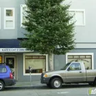 Business 1 image KATE'S CAT & DOG SALON Pet Services in San Francisco CA