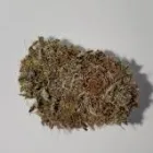Business 9 image KEYSTONE CANNABIS DISPENSARY Top rated Cannabis dispensary in Sand Springs OK
