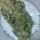 Business 10 image KEYSTONE CANNABIS DISPENSARY Top rated Cannabis dispensary in Sand Springs OK