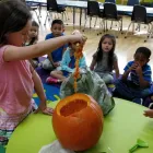 Business 16 image KID'S ADVENTURE LEARNING CENTER in Fullerton CA