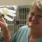 Business 1 image KIRBY ANIMAL HOSPITAL Veterinary Clinics & Hospitals in San Antonio TX