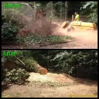 Business 2 image KM STUMP GRINDING Tree Stump Removal in Mcdonough GA