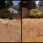 Business 3 image KM STUMP GRINDING Tree Stump Removal in Mcdonough GA