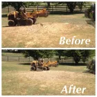 Business 4 image KM STUMP GRINDING Tree Stump Removal in Mcdonough GA