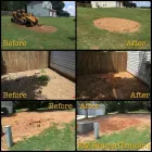 Business 6 image KM STUMP GRINDING Tree Stump Removal in Mcdonough GA