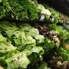Business 16 image KROGER FRESH FARE Butcher Shops in Dallas TX