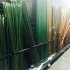 Business 35 image KY HOME & GARDEN LLC Plant Nurseries & Garden Centers in Sacramento CA