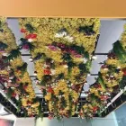 Business 5 image L'OCCITANE EN PROVENCE Shopping & Retail in Chicago IL