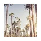 Business 4 image LA BOOKKEEPING Tax Preparation Service in Beverly Hills CA