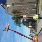 Business 1 image LA BUGS PEST & TERMITE CONTROL Yellow Jacket Control in Los Angeles CA