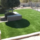 Business 2 image LA CHOLLA LANDSCAPING in Tucson AZ