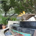 Business 2 image LA GRIGLIA in Houston TX