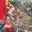 Business 1 image LAAN’S TREE CARE Landscaping in Ramona CA