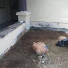 Business 3 image LARRY THE STUCCO GUY Stucco Repair in Lakeside CA