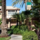 Business 9 image LAS PALMAS APARTMENTS in Fullerton CA