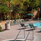 Business 12 image LAS PALMAS APARTMENTS in Fullerton CA