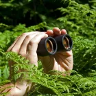 Business 4 image LAS VEGAS INVESTIGATORS Private Investigators in Las Vegas NV