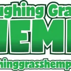 Business 2 image LAUGHING GRASS THE FIRST CBD DISPENSARY IN WISCONSIN Complementary & Alternative Medicine in Milwaukee WI