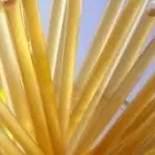 Business 4 image LAUGHING GRASS THE FIRST CBD DISPENSARY IN WISCONSIN Complementary & Alternative Medicine in Milwaukee WI