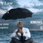 Business 8 image LAW OFFICES OF RL JOHNSON PLLC Trial Attorneys in Livonia MI