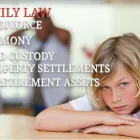 Business 9 image LAW OFFICES OF RL JOHNSON PLLC Trial Attorneys in Livonia MI